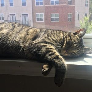 Meet your Posher, Madi